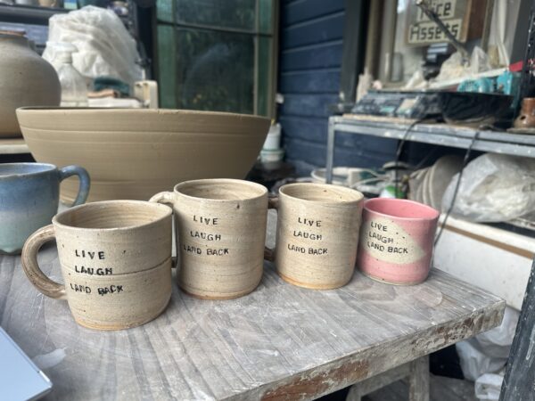 LIVE LAUGH LAND BACK mug