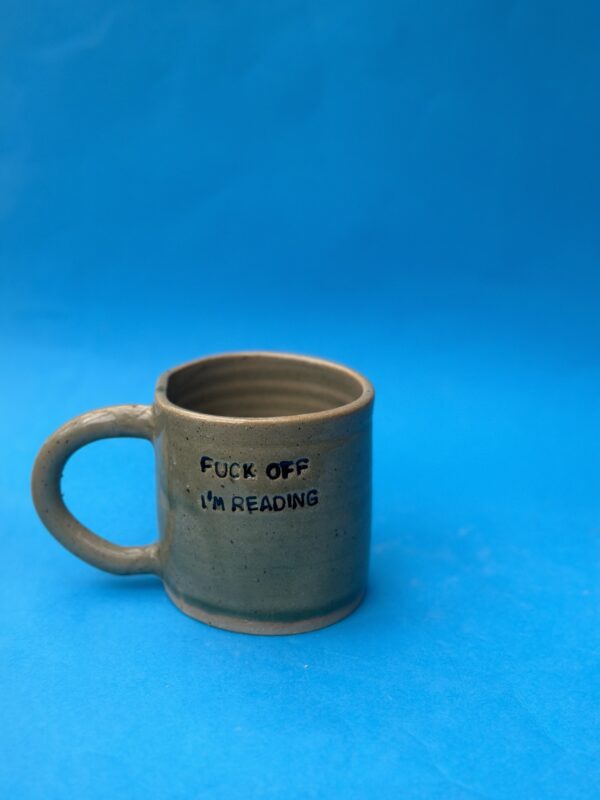 FUCK OFF I'M READING mug