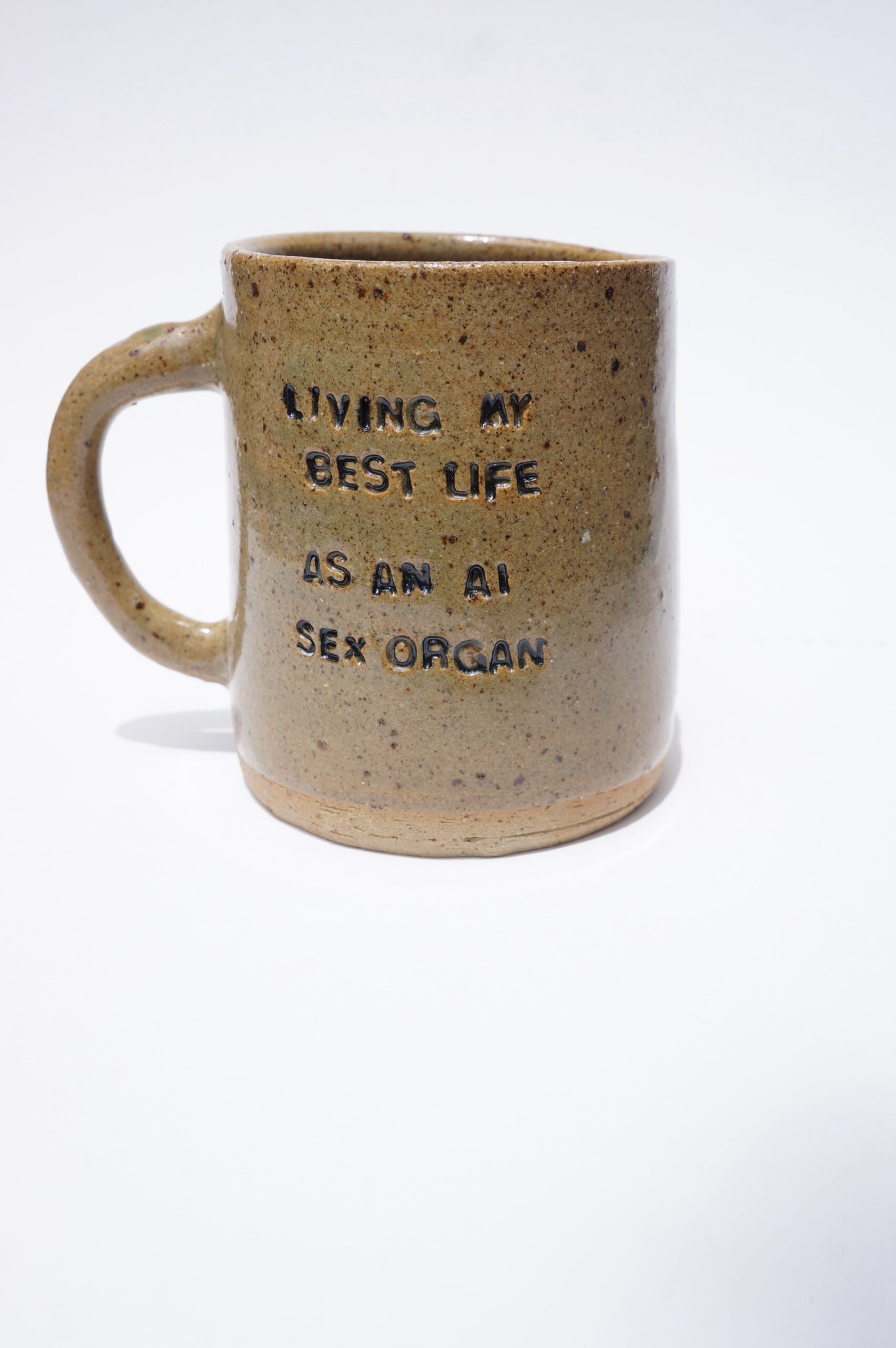 LIVING MY BEST LIFE AS AN AI SEX ORGAN reclaim